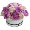 Purple Tender - Peonies - Flowers of Dubai