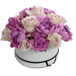 Purple Tender - Peonies - Flowers of Dubai