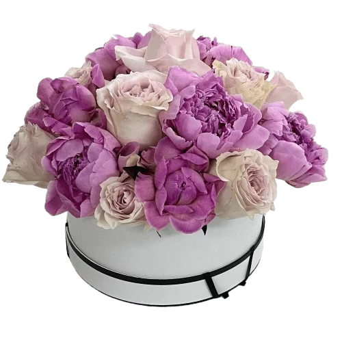 Purple Tender - Peonies - Flowers of Dubai