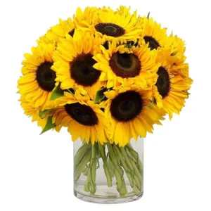Bunch of Fresh Sunflower - EID Ramadan - Flowers of Dubai