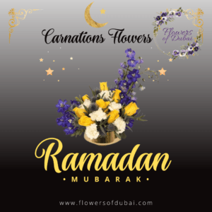 Carnations Flowers - Ramadan Kareem Flowers 2024 - Ramdan Mubarak