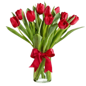 Love 11 Red Tulips Vase