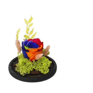 Forever Rainbow Rose in Dome - Luxury Flower - Flowers of Dubai