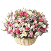 Magnificent 201 Tulips Basket - Basket Flower