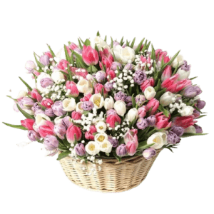Magnificent 201 Tulips Basket - Basket Flower