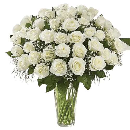 Peaceful 50 White Roses In Vase