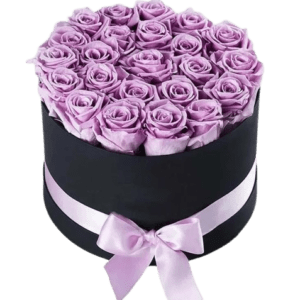 Purple Roses in Black Round Box