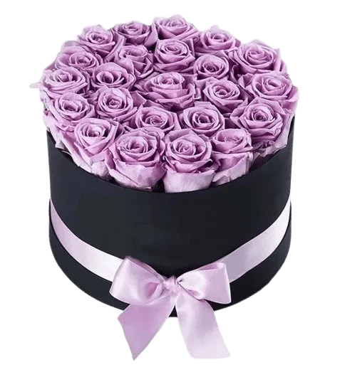 Purple Roses in Black Round Box