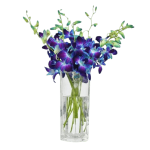 Royal Blue Orchids Vase - Orchid Flowers - Flowers of Dubai