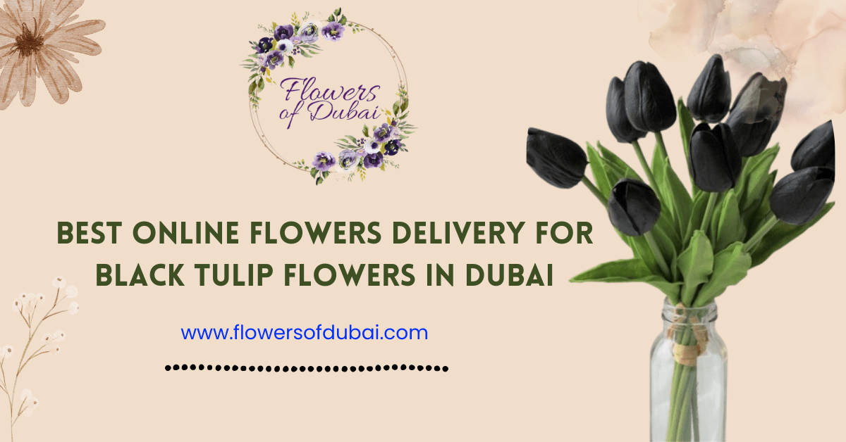 Black Tulip Flowers in Dubai - Online Flowers Delivery