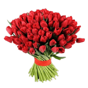 Love 101 Red Tulips