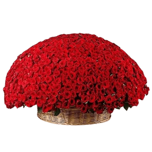 All About Love 801 Red Roses - Basket Flower- Best Online Flower Delivery - Flowers of Dubai