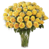 Elegant 50 Yellow Roses In Vase - Fresh Flowers Arrangements - Best Online Flower Delivery - Flowers of Dubai