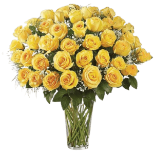 Elegant 50 Yellow Roses In Vase - Fresh Flowers Arrangements - Best Online Flower Delivery - Flowers of Dubai