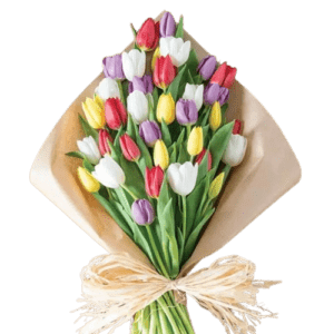 Garden of Tulips