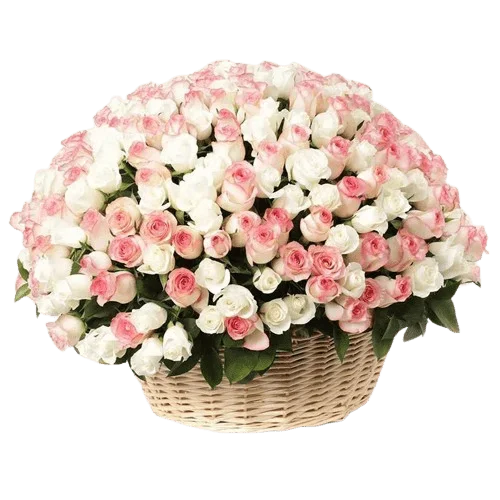 Grand Affection 301 Roses Basket - Basket Flower- Best Online Flower Delivery - Flowers of Dubai