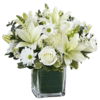 Healing Sorrow All White - Fresh Flowers Arrangements - Best Online Flower Delivery - Flowers of Dubai