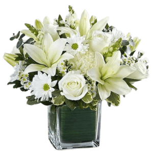 Healing Sorrow All White - Fresh Flowers Arrangements - Best Online Flower Delivery - Flowers of Dubai