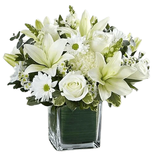 Healing Sorrow All White - Fresh Flowers Arrangements - Best Online Flower Delivery - Flowers of Dubai