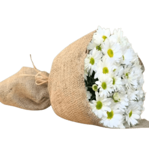 Mini White Chrysanthemum Daisy Bouquet