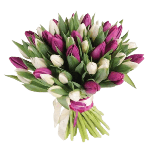 Purple and White Bliss