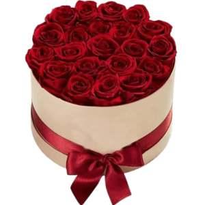 Red Roses in White Round Box