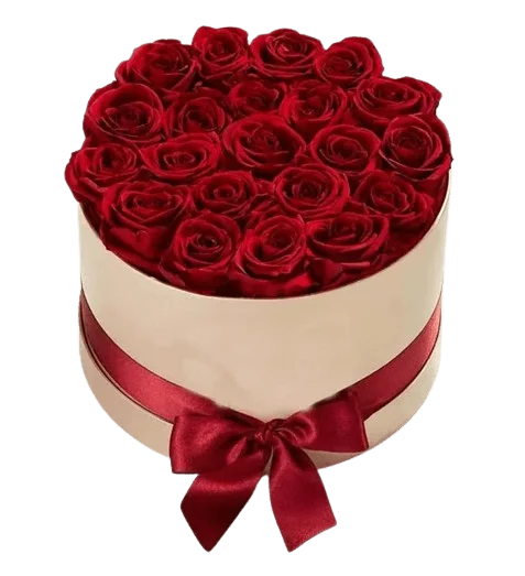 Red Roses in White Round Box