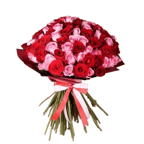 Red and Pink 101 Roses Bunch - Mothers Day - Flowers of Dubai