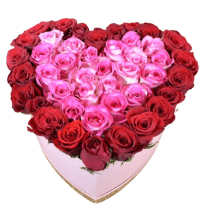 Love with Red & Pink Roses