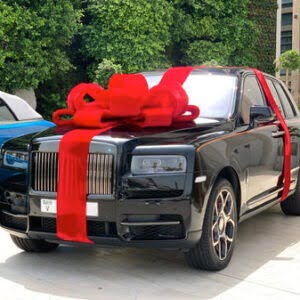 Luxury Velvet Car Bow