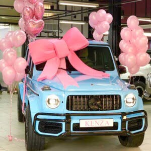 Luxury Velvet Pink Car Bow with balloons