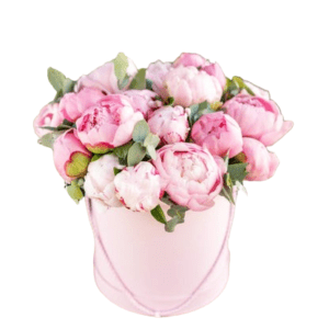 20 Pink Peony Box Arrangement