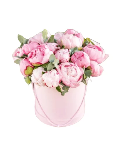 20 Pink Peony Box Arrangement