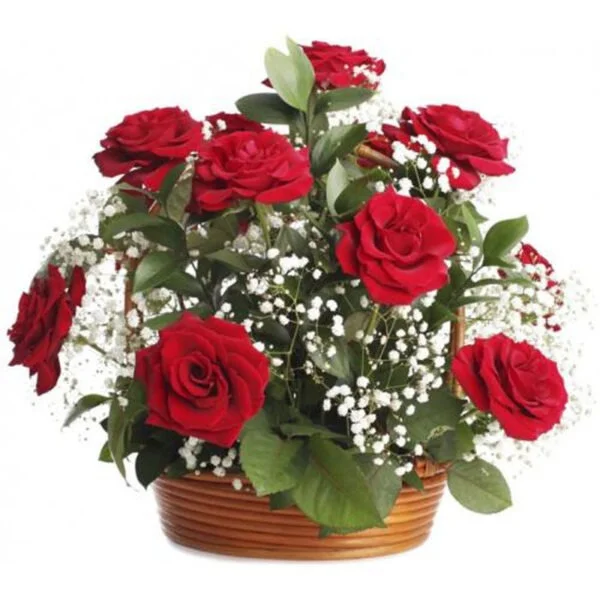 Red Roses And Baby’s Breath Basket Arrangement