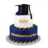 Graduation Cake 2 step