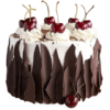 Swiss Chocolate Black Forest Cake