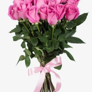 Pink Roses