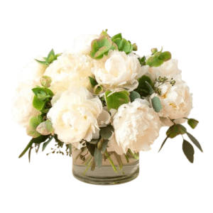 Freeze 11 White Peonies