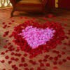 Heart Shape Petals for floor