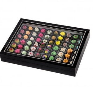 Delice Sweets Window Black Wooden Box