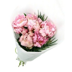 Peonies