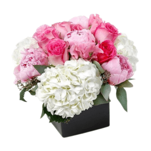 Pink Passion Peonies