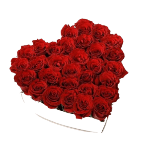Red Roses in White Heart Shape Box