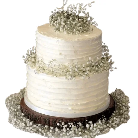 Two Tiered Cake with Gypso