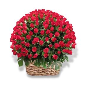 300 Premium Red Roses